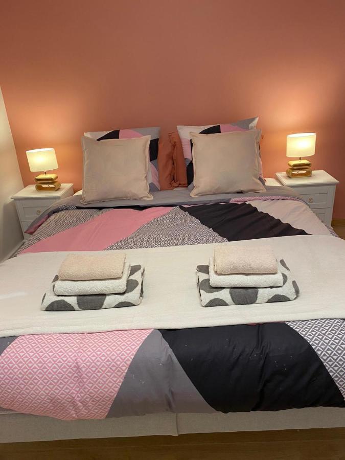 Grand F4 De 71M2 Pour 6 Personnes En Plein Centre Ville 阿尔帕容 外观 照片